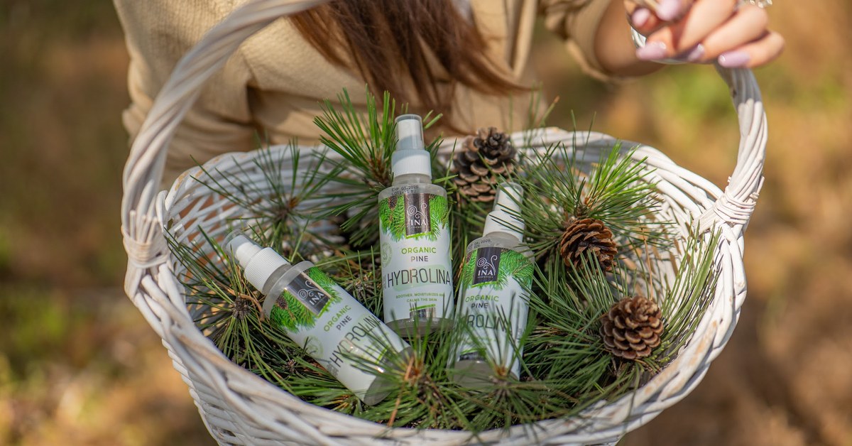 Ihličie borovice lesnej Pinus sylvestris a Organická voda z Bielej Borovice Hydrolina
