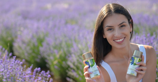 Levanduľa Lavandula angustifolia a Hydrobiotic Levanduľa & Mäta na levanduľovom poli
