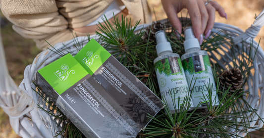 Krém na popraskané päty a organická voda z bielej borovice v koši v borovicovom lese